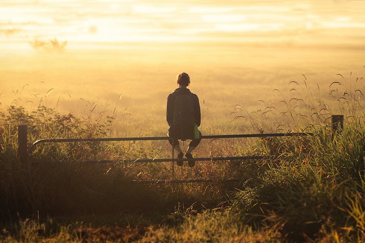 Person overlooking sunset in a field sitting on a fence