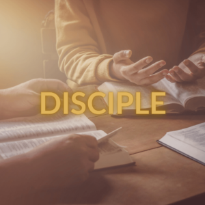Disciple (Serving Workers for The Harvest)
