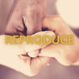 Reproduce - three hands holding each other with the word Reproduce on top of the hands